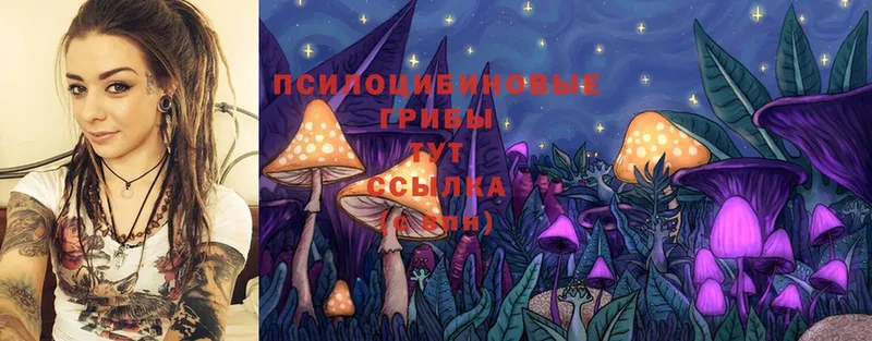 Псилоцибиновые грибы GOLDEN TEACHER  Кизляр 